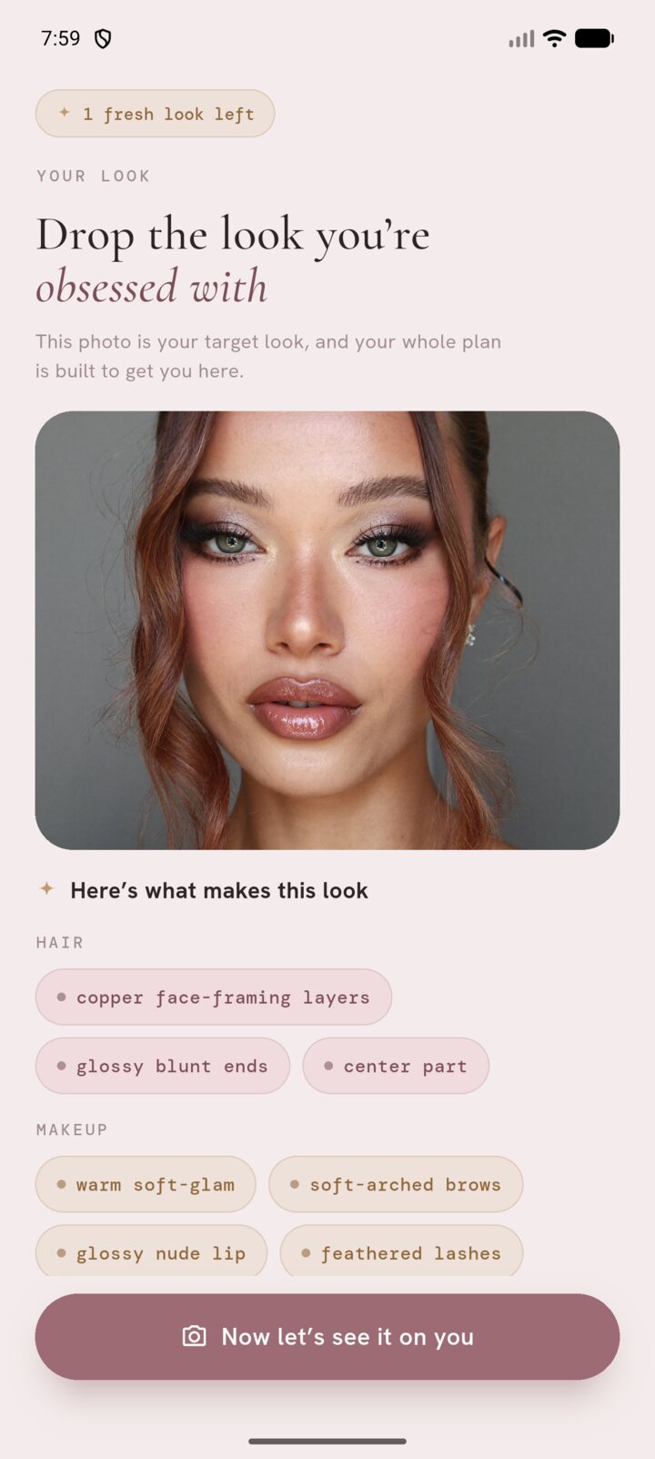 Enviya's upload screen showing a chosen target look and the hair and makeup details it detected.